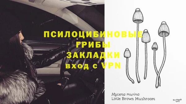 круглые Алексеевка