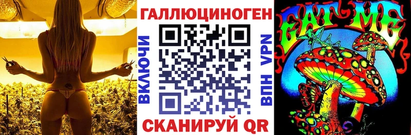 Псилоцибиновые грибы Cubensis Жуковка